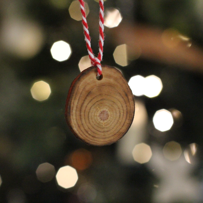 Hand-Painted Mushroom Ornament