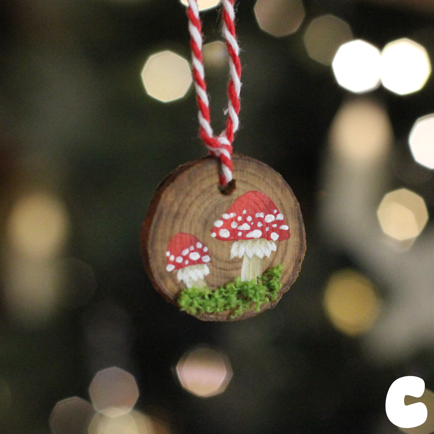 Hand-Painted Mushroom Ornament